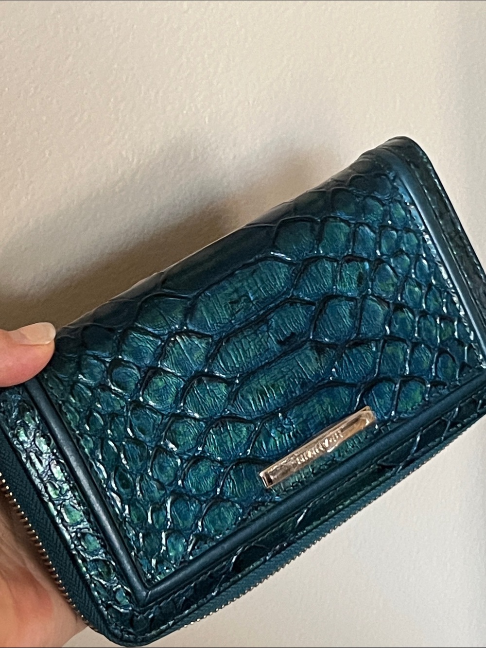 Brahmin Suri Evergreen Kalopsia wallet clutch